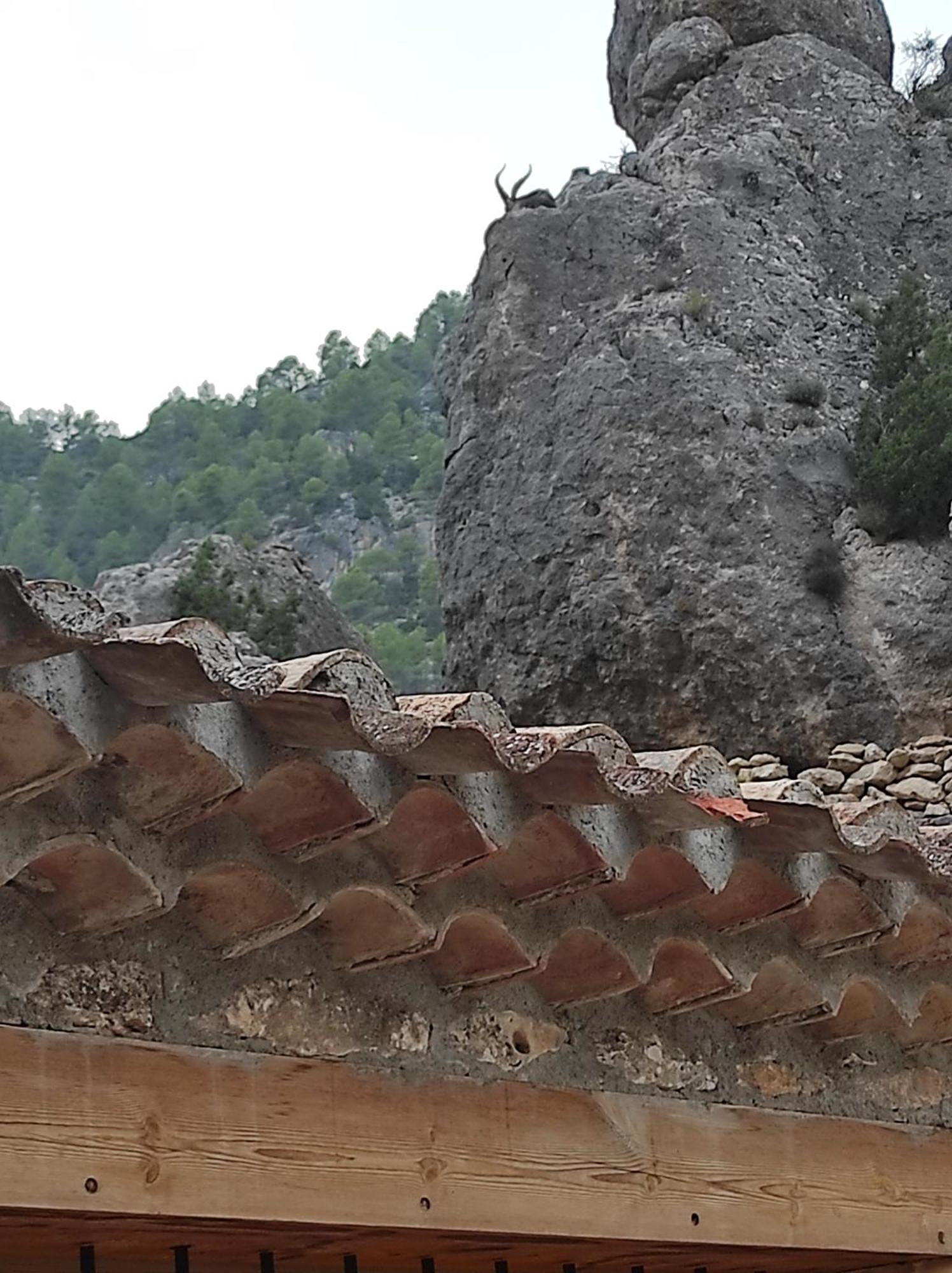 Landhaus Mirador Del Rio Zumeta *